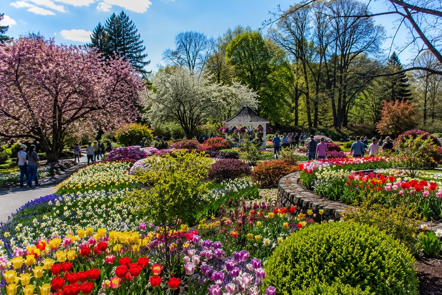 Spring Garden Festivals